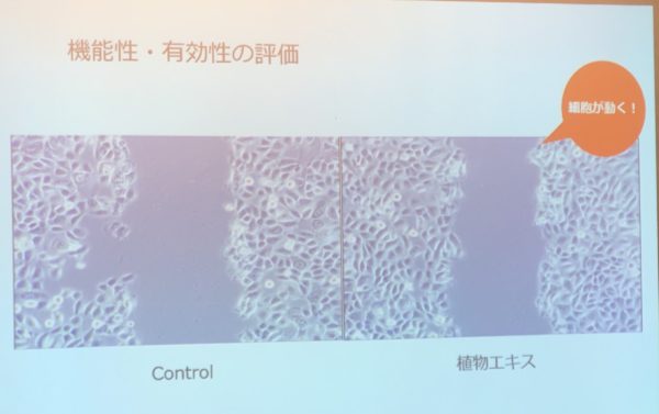 化粧品の機能性・有効性の評価法