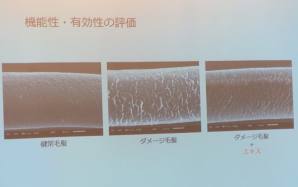 化粧品の機能性・有効性の評価