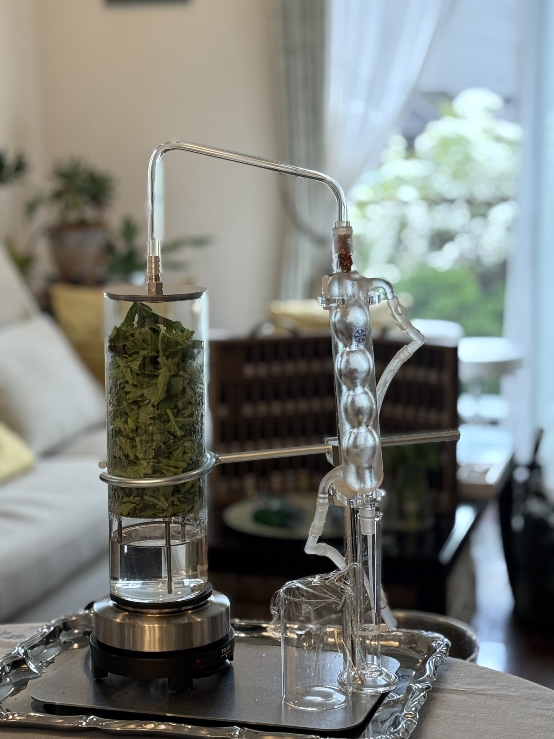 フェールマヴィ