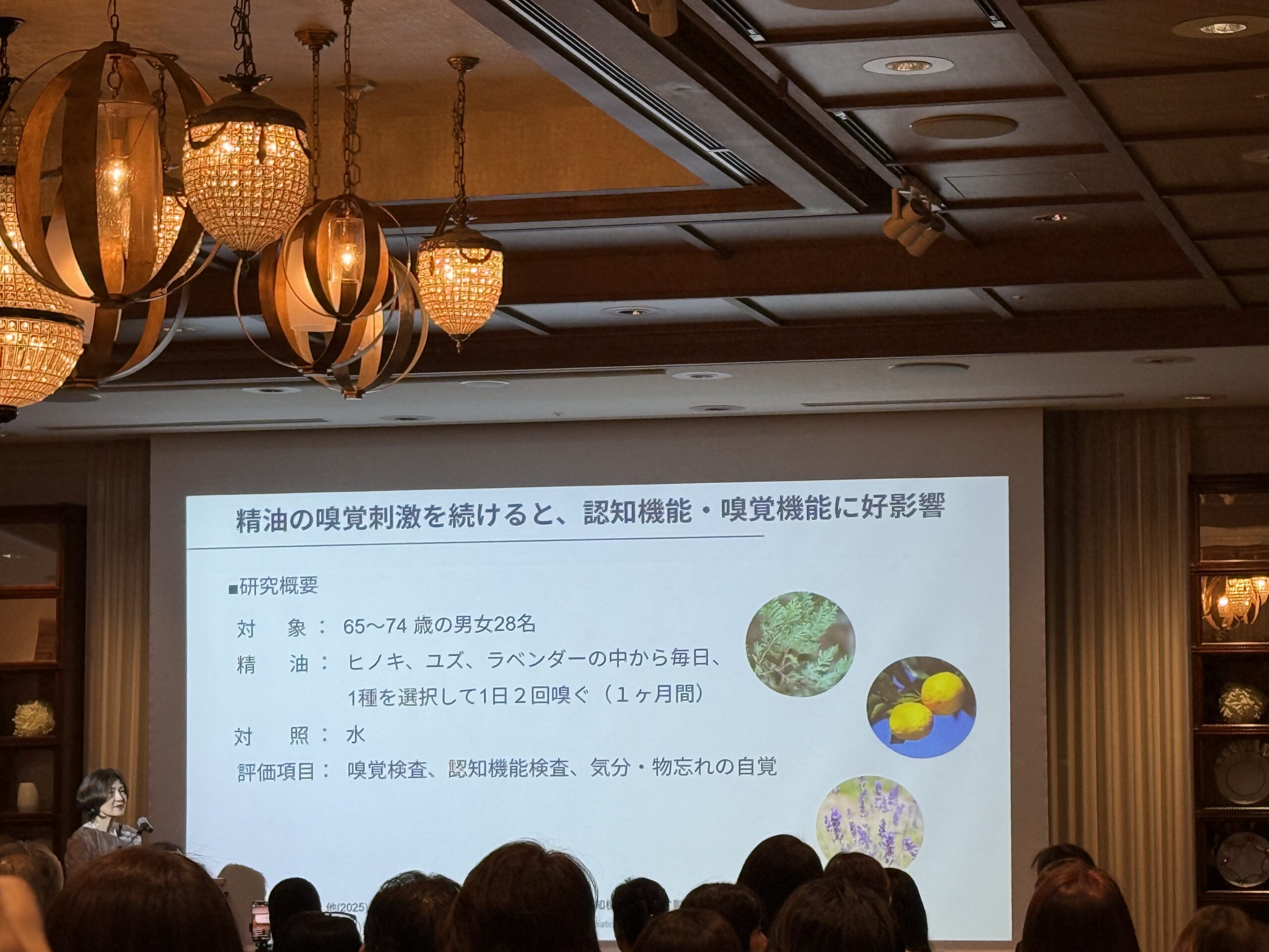 AEAJ30周年特別講演