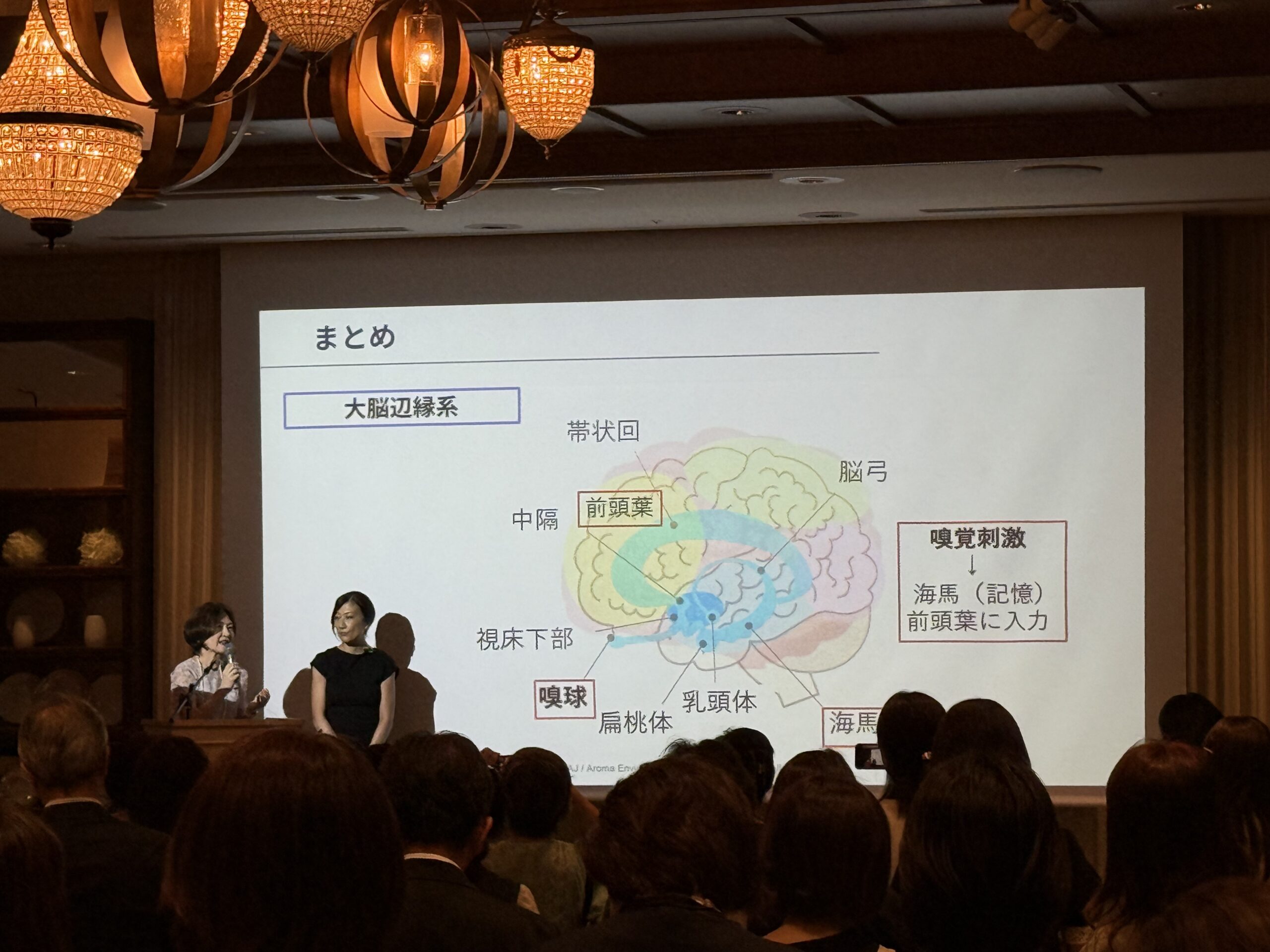 AEAJ30周年特別講演
