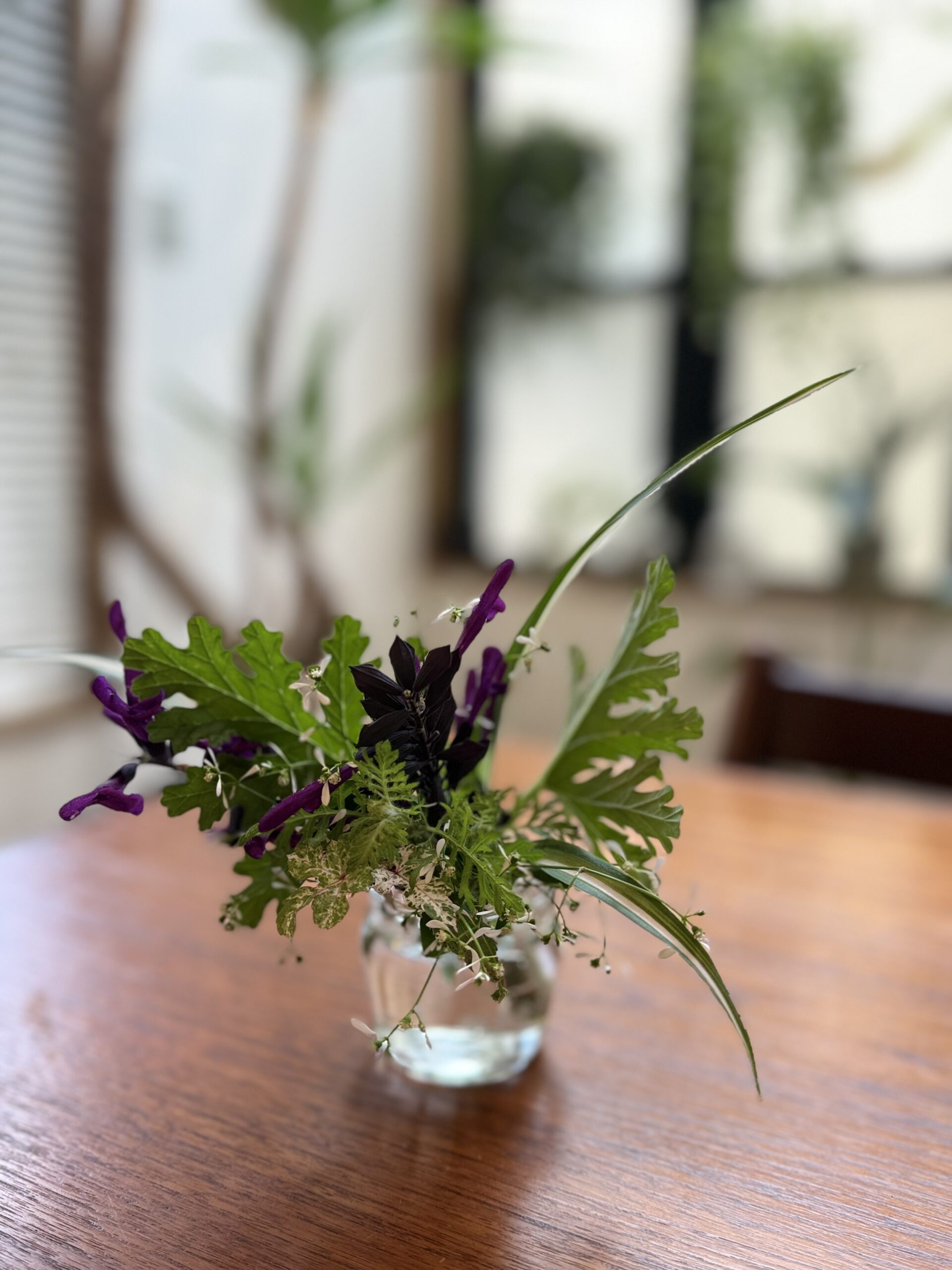 植物アロマ